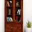 Sheesham wood bookshelf with glass doors and diamond-carved lower storage doors in teak finish, front view